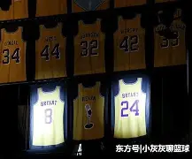 关于新奥尔良鹈鹕发布备战花絮，今晨完成体检，NBA季后赛任务艰巨，身体对抗强度拉满的信息